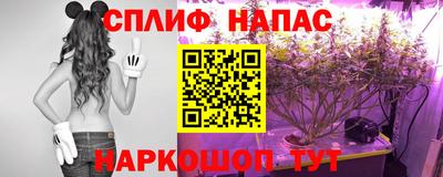 скорость Кимры