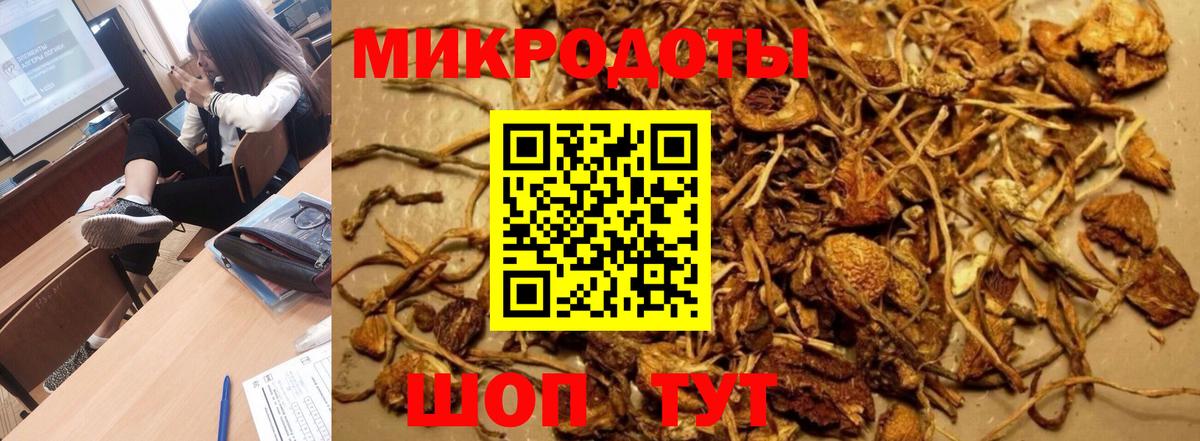 Дагестанские Огни  Псилоцибиновые грибы MAGIC MUSHROOMS  где можно купить наркотик  Вход с VPN 