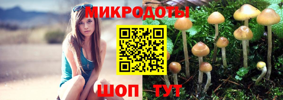 Псилоцибиновые грибы мицелий Дагестанские Огни